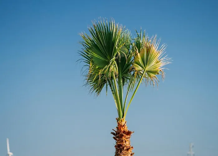 Ali Baba Ciftligi Bed & Breakfast