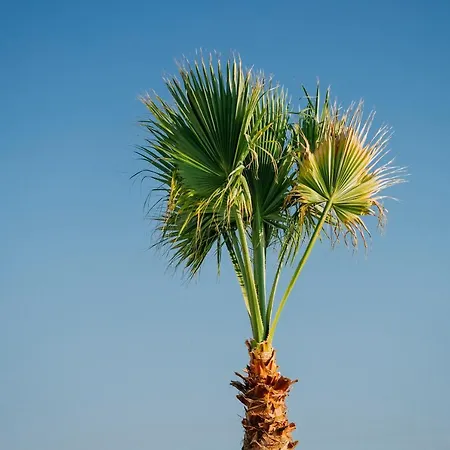 Ali Baba Ciftligi לינה וארוחת בוקר